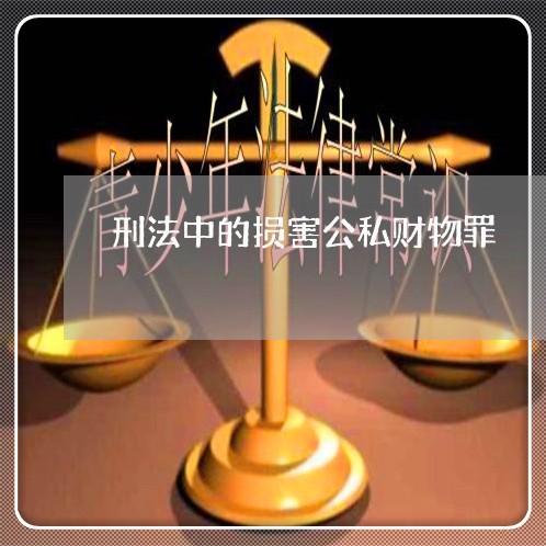 刑法中的损害公私财物罪