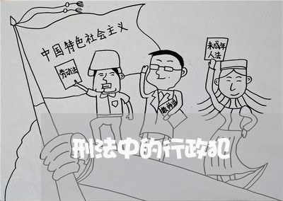 刑法中的行政犯 刑法中的行政犯