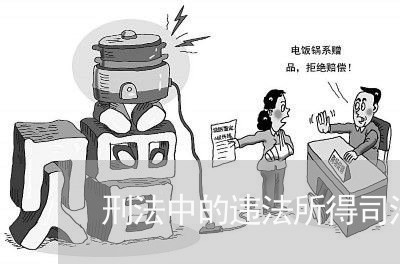 刑法中的违法所得司法解释