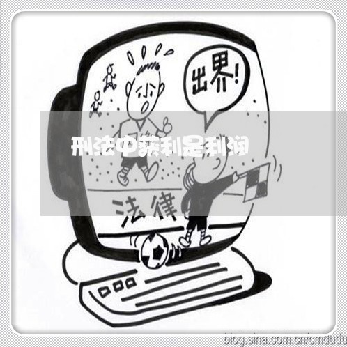刑法中获利是利润 刑法中获利是利润