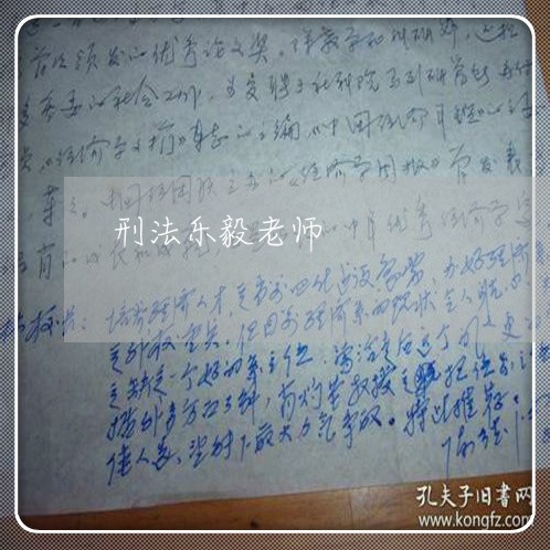 刑法乐毅老师