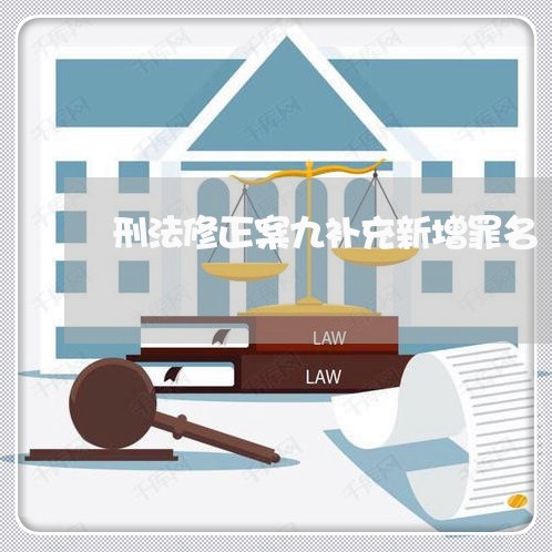 刑法修正案九补充新增罪名