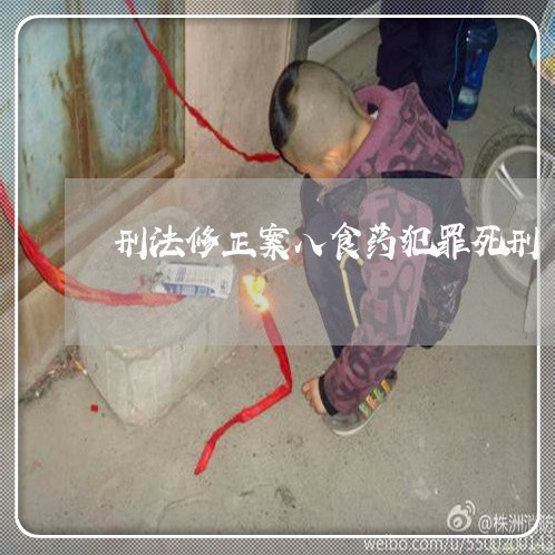 刑法修正案八食药犯罪死刑 刑法修正案八食药犯罪死刑