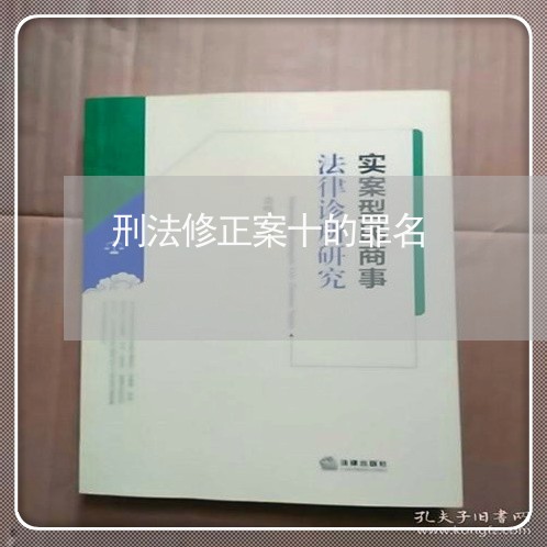 刑法修正案十的罪名