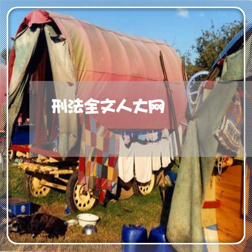 刑法全文人大网 刑法全文人大网