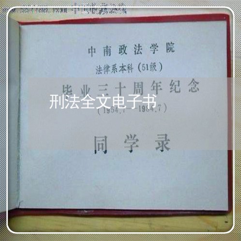 刑法全文电子书 刑法全文电子书
