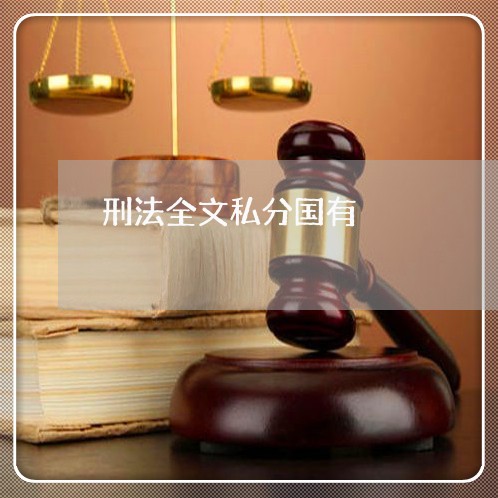 刑法全文私分国有