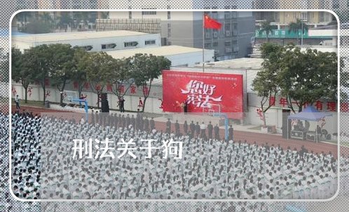刑法关于狗 刑法关于狗
