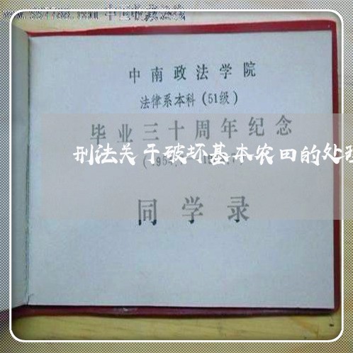 刑法关于破坏基本农田的处理 刑法关于破坏基本农田的处理