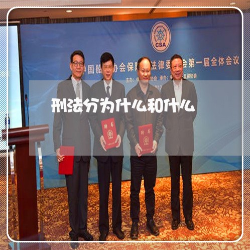 刑法分为什么和什么