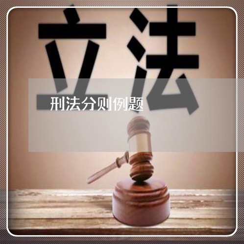 刑法分则例题