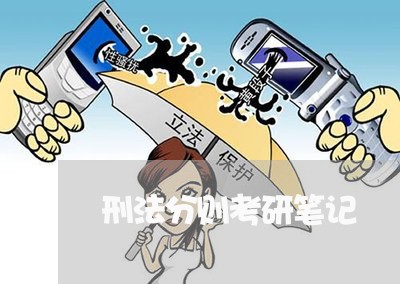 刑法分则考研笔记