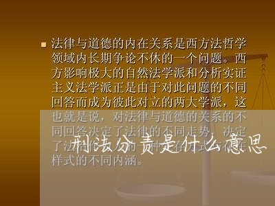刑法分责是什么意思