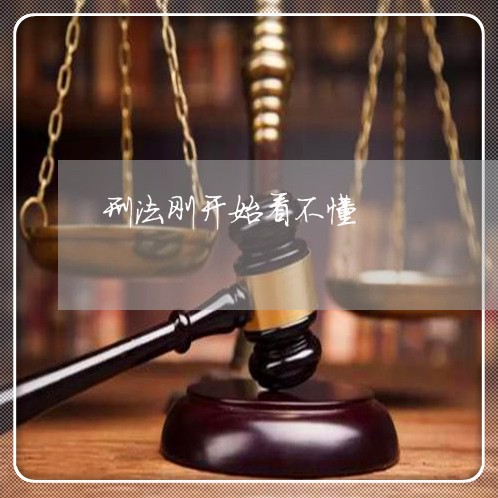 刑法刚开始看不懂