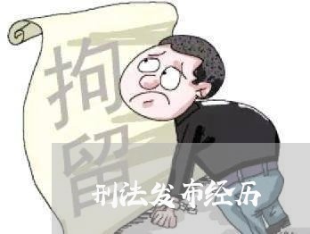 刑法发布经历