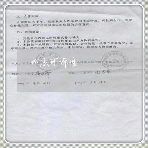 刑法可诉性