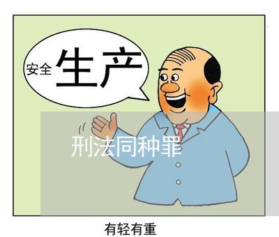 刑法同种罪 刑法同种罪