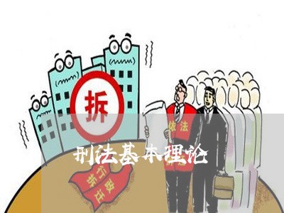 刑法基本理论