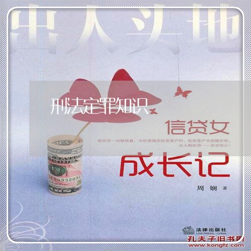 刑法定罪知识 刑法定罪知识