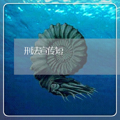 刑法宣传短