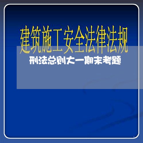 刑法总则大一期末考题