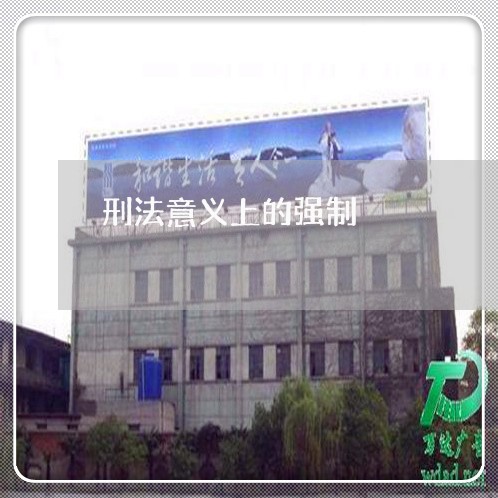 刑法意义上的强制 刑法意义上的强制