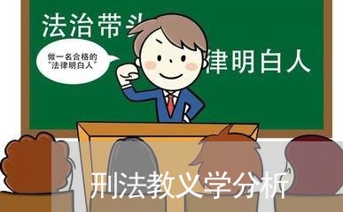 刑法教义学分析