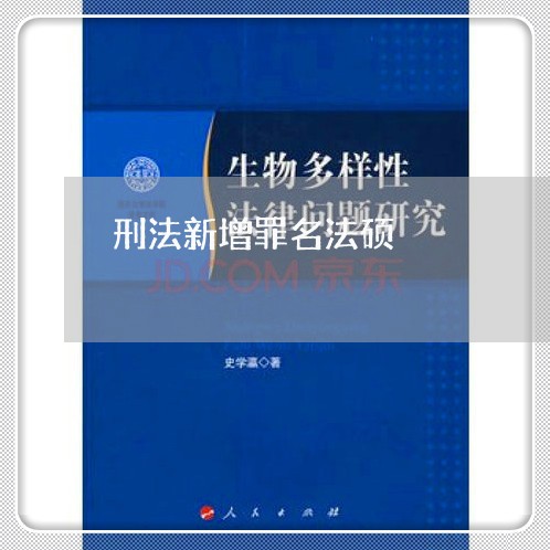 刑法新增罪名法硕 刑法新增罪名法硕