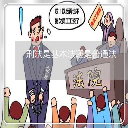 刑法是基本法还是普通法