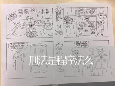 刑法是程序法么 刑法是程序法么