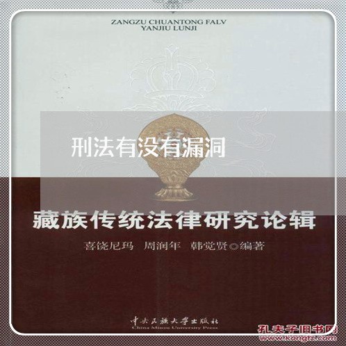 刑法有没有漏洞 刑法有没有漏洞