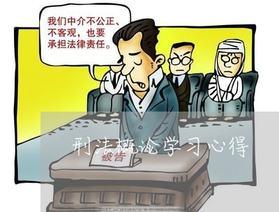 刑法概论学习心得