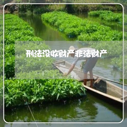 刑法没收财产非法财产