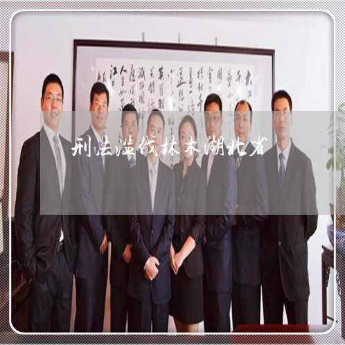 刑法滥伐林木湖北省