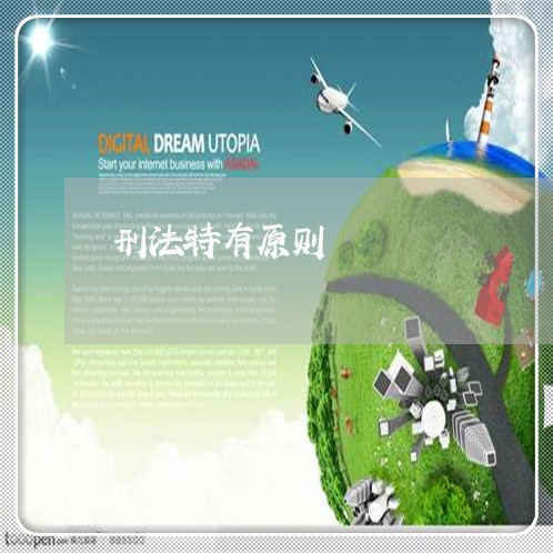 刑法特有原则 刑法特有原则
