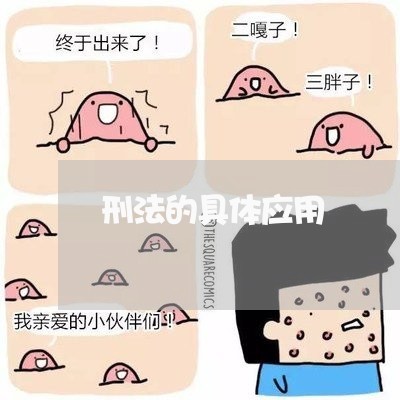 刑法的具体应用 刑法的具体应用