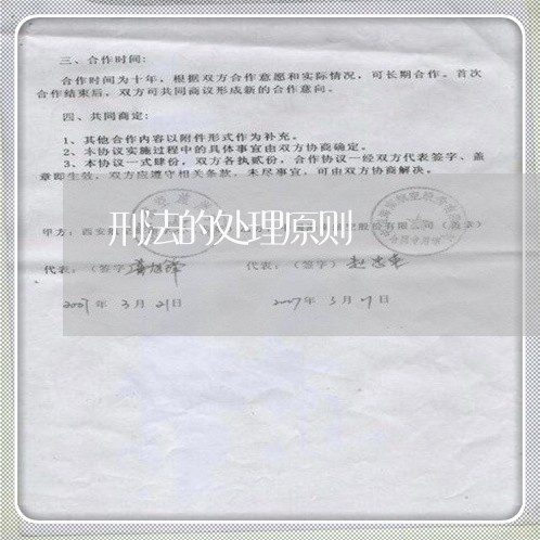 刑法的处理原则 刑法的处理原则