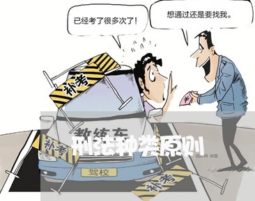 刑法种类原则