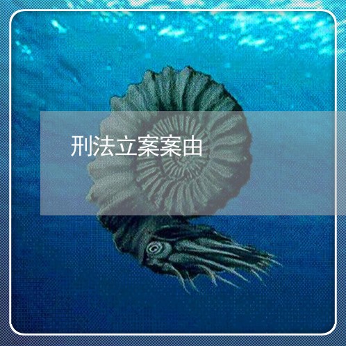 刑法立案案由
