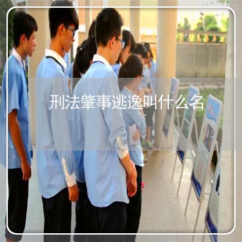 刑法肇事逃逸叫什么名