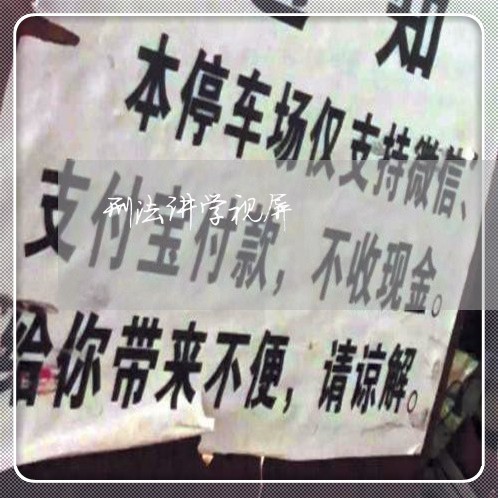 刑法讲学视屏