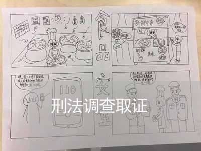刑法调查取证
