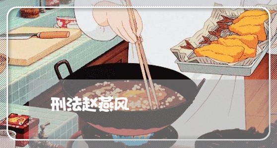 刑法赵燕风 刑法赵燕风
