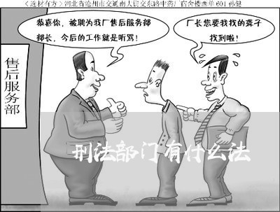 刑法部门有什么法