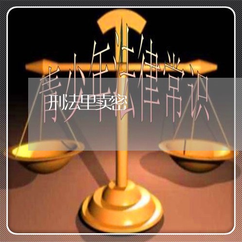 刑法里卖密