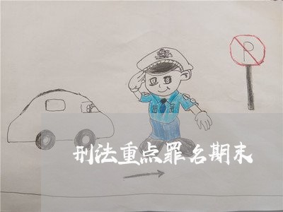 刑法重点罪名期末