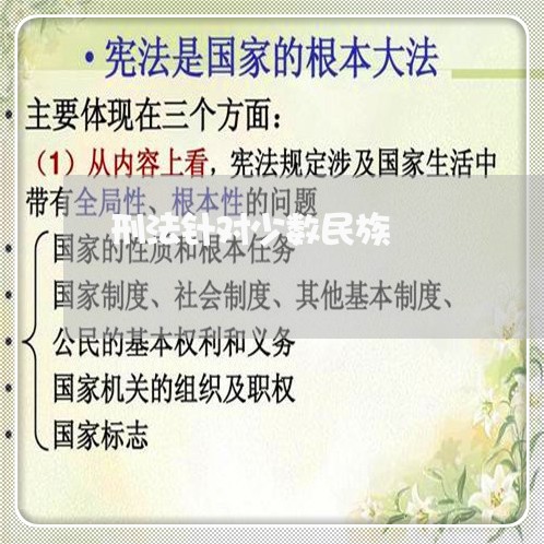 刑法针对少数民族