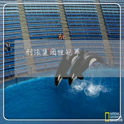 刑法集团性犯罪 刑法集团性犯罪