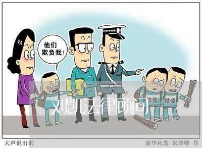 刘凯法律顾问