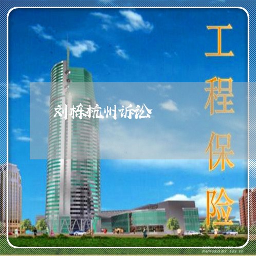 刘栋杭州诉讼